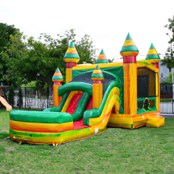 Fiesta Bounce House Combo